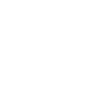 SINMED-MG 2025 _ vertical NEG